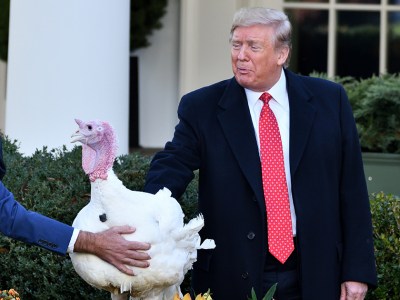 trump, turkey, pardon