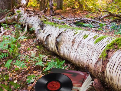 pornography, the cure