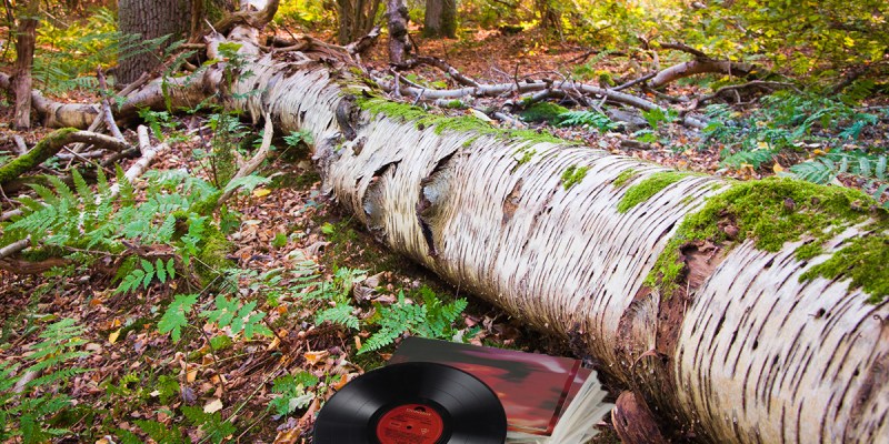 pornography, the cure