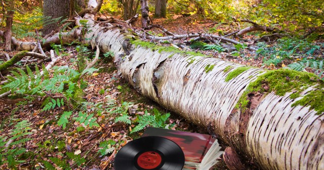 Goth Hides Stack of The Cure’s “Pornography” in Woods