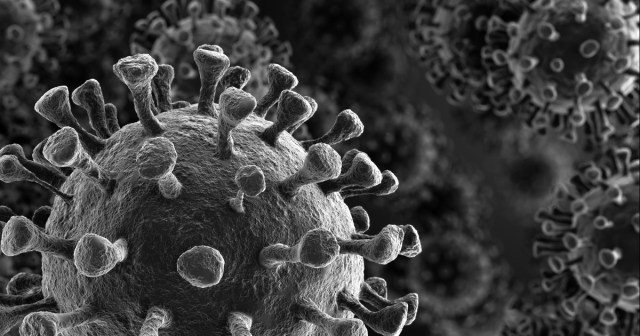 Every Virus of 2020 RANKED