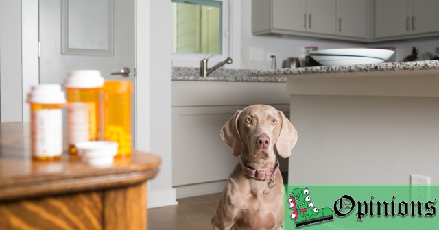 Opinion: Any Dog Is a Therapy Dog if You Steal Its Anxiety Medication