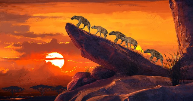 Hyenas Storm Pride Rock After Refusing to Accept Scar’s Defeat