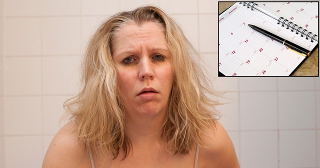 $20 Planner Tasked With Turning Entire Life Around