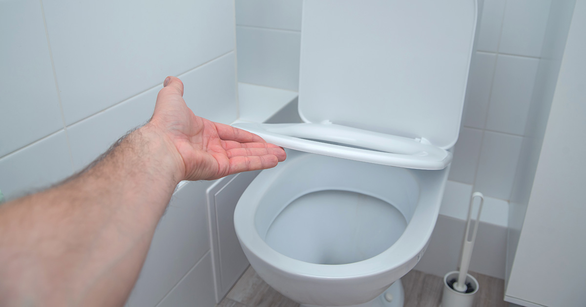toilet, half mast, divorced man