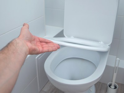 toilet, half mast, divorced man