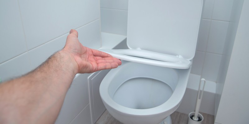 toilet, half mast, divorced man