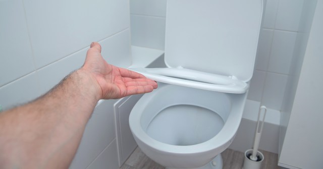 Recently Divorced Man Solemnly Lowers Toilet Seat to Half Mast