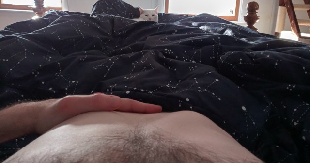 Cat Walking Across Belly Not Enough to Interrupt Man Masturbating