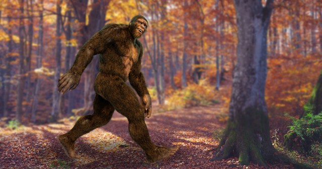 Gamer Captures Bigfoot at Atrocious 1080p Resolution
