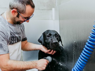 aging, warped tour, grooming