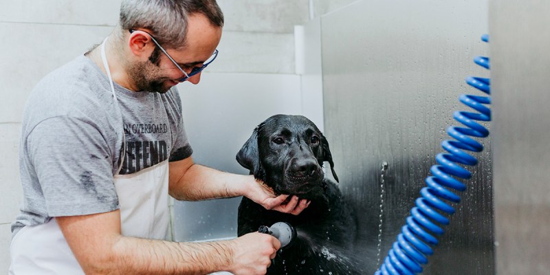aging, warped tour, grooming