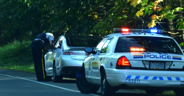 We Sat Down With the Kid Who Got Expelled for Killing a Dog in Junior High Because He Pulled Us Over and Took Us Downtown