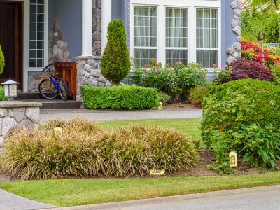 just egg, vegan, easter