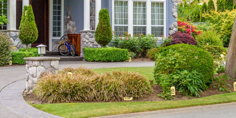 just egg, vegan, easter