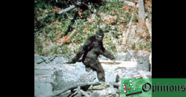 Opinion: If Those Videos of Bigfoot Were Real We’d Be Able to See His Dick