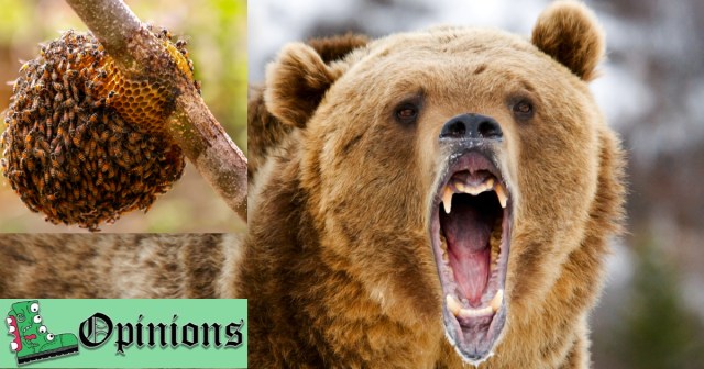 Opinion: Bears Have Every Right To Defend Themselves From the Bees in the Hive They’re Invading