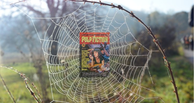 We Blew Weed Smoke in This Spider’s Face and the Next Web She Wove Was a Pulp Fiction Poster