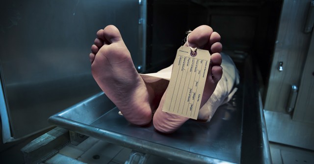 Punk Saves Thousands in Medical Bills by Dying