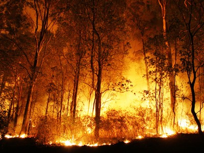 america, warning, temperature