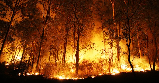 America Wishes There Had Been Some Sort of Warning of Rising Temperatures