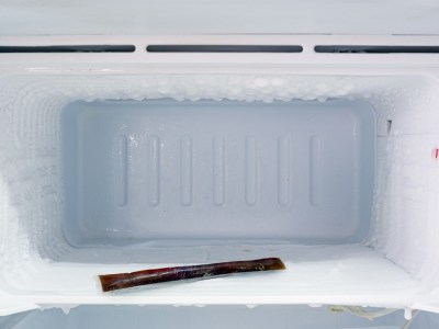 purple, otter pop, ice pack