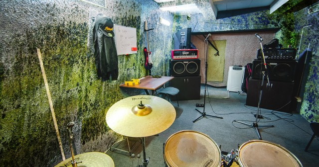 Basement Rehearsal Space Sprouts Enough Fuzzy Mold for Decent Sound Proofing