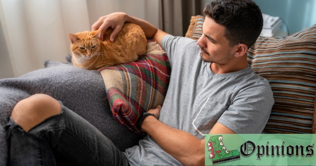 If Negging Doesn’t Work, then Why Am I So Obsessed With My Cat?