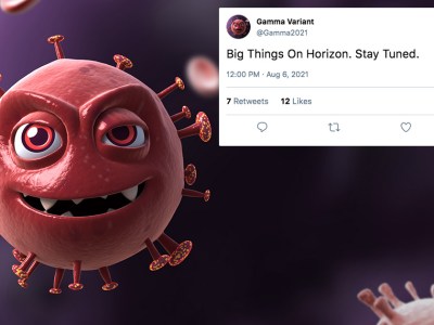 gamma, variant, big things