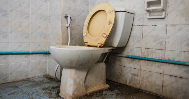 Dude Running First House Show Makes Sure Toilet Is Nice and Broken