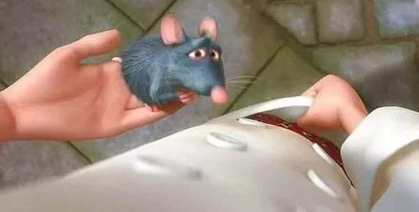 ratatouille