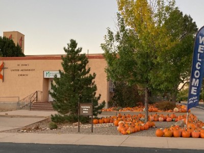 pumpkins, free, shit