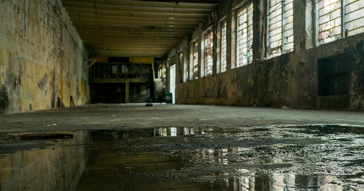 weird, puddle, venue