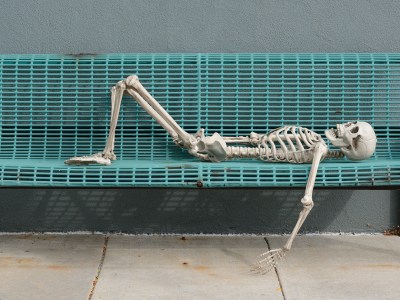 skeleton, library, homeless