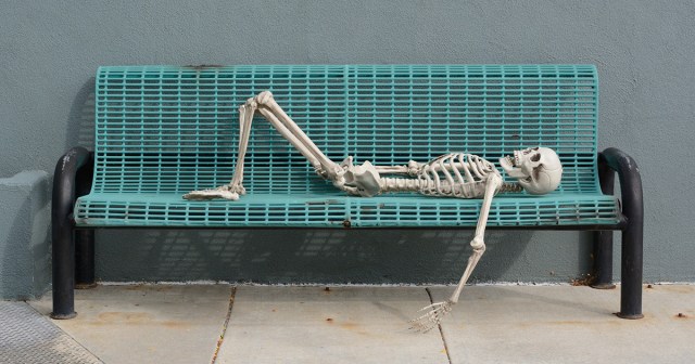 Cute Skeleton on Bench Outside of Library Actually Anti-Homeless Architecture
