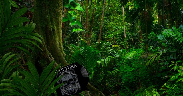 Previously Unknown Sepultura Album Discovered in Rainforest