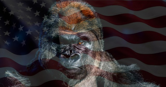 6 Species So Endangered They Wouldn’t Survive Their Own Animal Version of 9/11