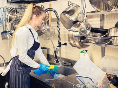 dishwasher, freelance, outvoice