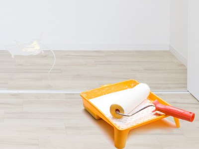 landlord, paint, dead mouse