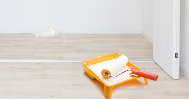 Landlord Graciously Paints Over Dead Mouse In Closet