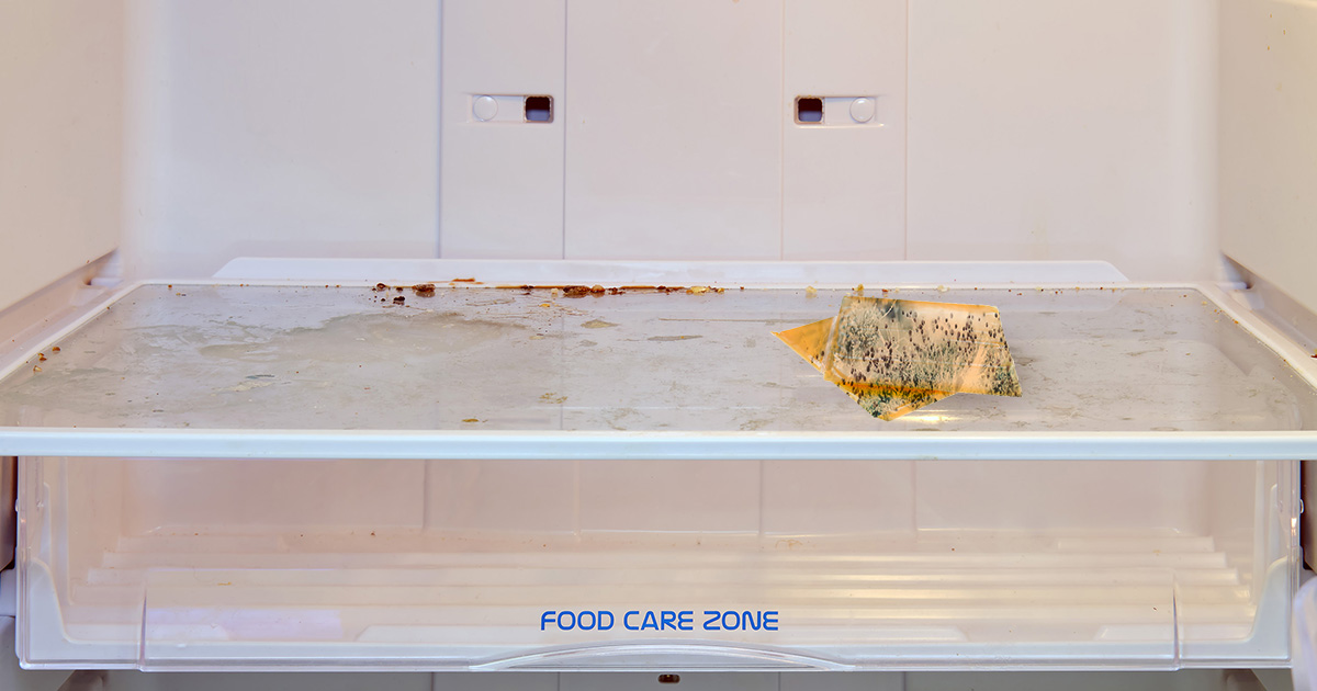 craft, single, cheese, cheese slice, gross, mold, blue cheese, fridge, punk house