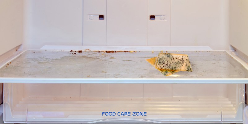 craft, single, cheese, cheese slice, gross, mold, blue cheese, fridge, punk house