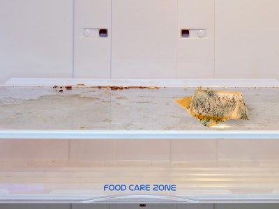 craft, single, cheese, cheese slice, gross, mold, blue cheese, fridge, punk house