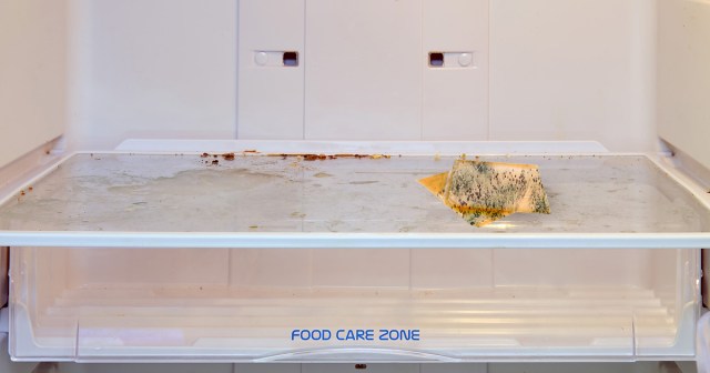 Punk House Refrigerator Transforms Kraft Single Into Decadent Blue Cheese In Minutes