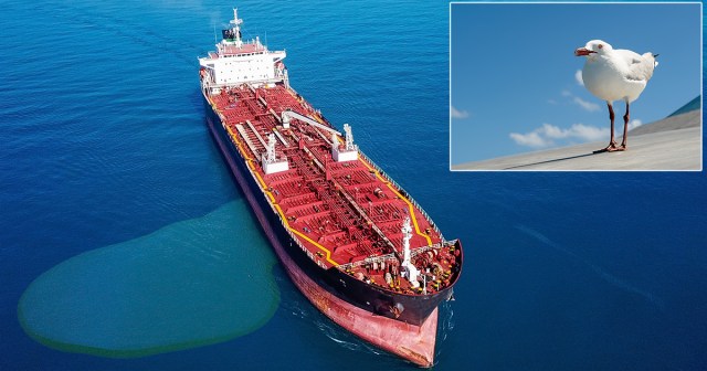 Massive Coconut Oil Spill In Gulf Of Mexico Improves Hair Quality Of 300+ Species