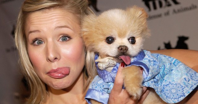 5 Adorable Photos of Celebrities and Their Pets To Continue Distracting You From Finding a Therapist
