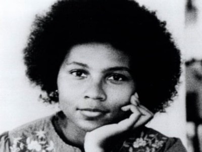 bell hooks, lowercase, rip