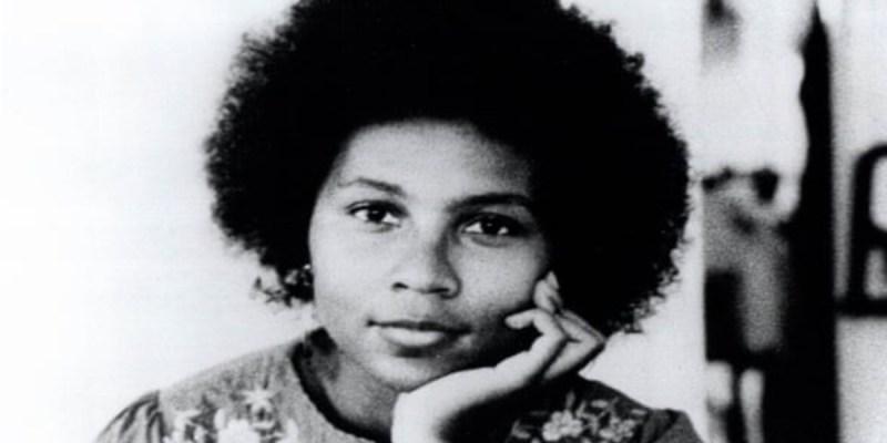 bell hooks, lowercase, rip