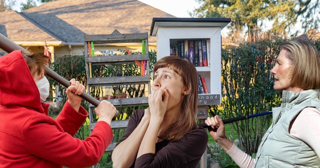 Librarians Break Kneecaps of Homeowner who Installed Little Free Library