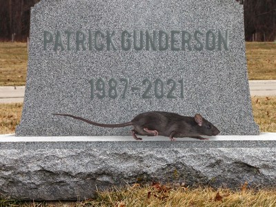 rat, punk, grave